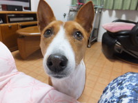 今年も無事終了(^^) 2014/04/16 05:55:53