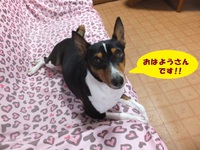 暑くなってくると。。 2014/04/19 05:47:34