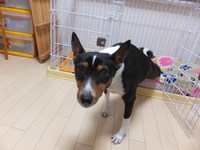 雨だったけど。。 2014/04/25 05:53:07