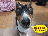 シミ・ソバカス。。 2014/04/27 05:59:03
