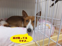 そういえば・・・GW。。 2014/04/29 06:01:22