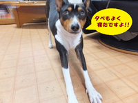 今日は何の日！？（＾＾； 2014/04/30 05:46:30