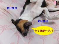 子供の日に梅雨入り～。。 2014/05/06 05:43:11