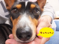 久々のランチ♪ 2014/05/09 05:44:55