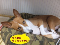 暑さに負けず食欲旺盛！！ 2014/05/15 05:47:42