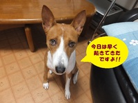 ガチマヤ～万歳！！ 2014/05/21 05:38:03