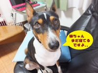日曜日は寝て曜日（＾＾； 2014/05/26 05:43:27