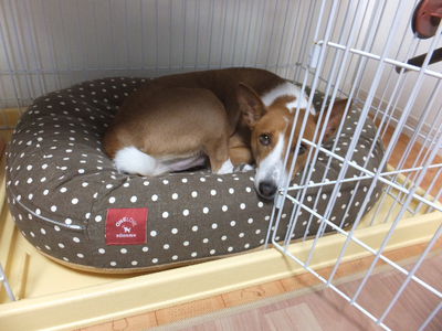 シュリの方が一枚上手（笑）