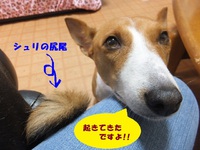 ウマウマ♪ 2014/05/29 05:43:07