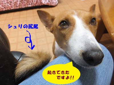 ウマウマ♪