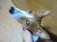 蒸し暑過ぎ～。。 2014/06/04 05:30:36