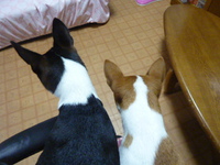 死ぬかと思った。。 2014/06/05 05:30:29