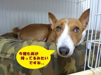 月に一度のウマウマデー！！ 2014/06/11 05:33:19
