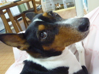 いつの間にか台風～。。 2014/06/12 05:30:11
