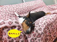 朝からキモ～イ・・・(**) 2014/06/25 05:36:03