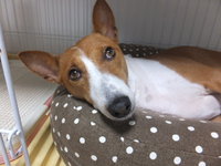 突然の土砂降りは勘弁です。。 2014/06/26 05:28:26