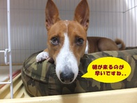代わり映えも無いですが・・・（＾＾； 2014/07/18 05:32:57