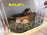 あれ！？台風は！？ 2014/08/01 05:34:31