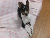 ナデナデ好き子（笑） 2014/08/14 05:24:43