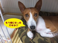 晴れたやんっ！！ 2014/09/01 05:34:07