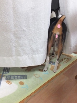 日曜日はのんびりと（＾＾）
