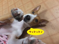 今度は・・・ネズミって（笑） 2014/09/25 05:36:13