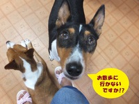 ダメよ、ダメダメ～（笑） 2014/10/01 05:27:04