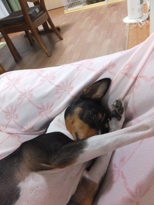 月曜日のいろいろ。。