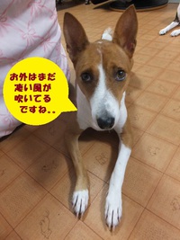 吹き返しの1日。。 2014/10/13 05:40:42