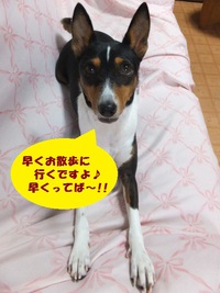 こう見えても・・・って、どう見える！？（笑） 2014/10/18 05:36:33