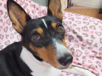 冷え冷え～。。 2014/11/05 05:22:31