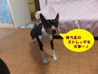 シャンプー。。 2014/05/01 05:53:49