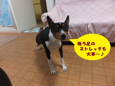 シャンプー。。