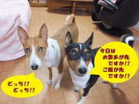 ふれあいの時間（＾＾） 2014/10/26 05:26:39