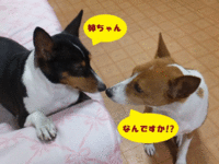おやつ万歳！！ 2014/04/08 05:48:14