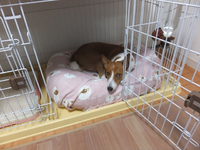 いつもの調子で。。 2014/03/30 05:56:35