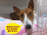 雨だったけど。。 2014/04/02 05:52:59