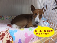 馬でウマウマ。。 2014/04/12 05:56:30