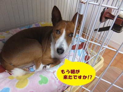 首。。