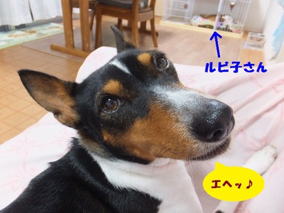 子供の日に梅雨入り～。。