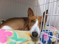 うすら寒い感じ。。 2014/05/08 05:42:28