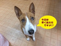 昨日も・・・ウマウマ（笑） 2014/05/16 05:52:49