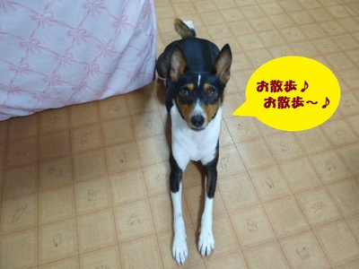 ご褒美だよね（笑）