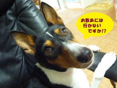 おかげ様で！！