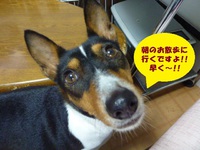 月一の病院。。 2014/06/13 05:33:29