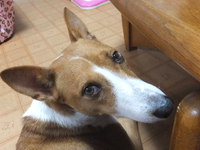 長い留守番、ご苦労さん。。 2014/09/07 05:32:51