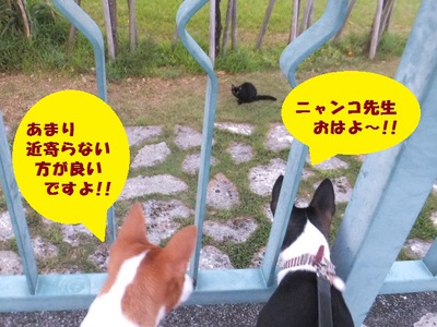 スーパームーン♪