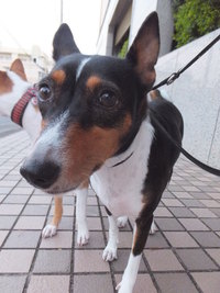 いよいよ。。 2014/09/19 05:29:35
