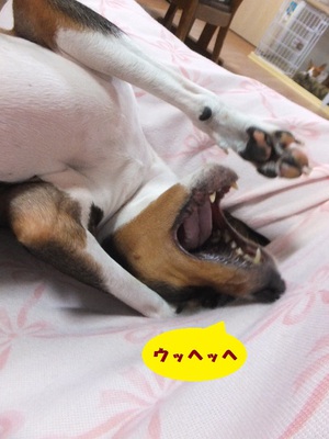 月曜日のいろいろ。。
