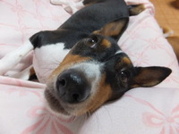 こんなふたりでも・・・（＾＾） 2014/10/23 05:22:55